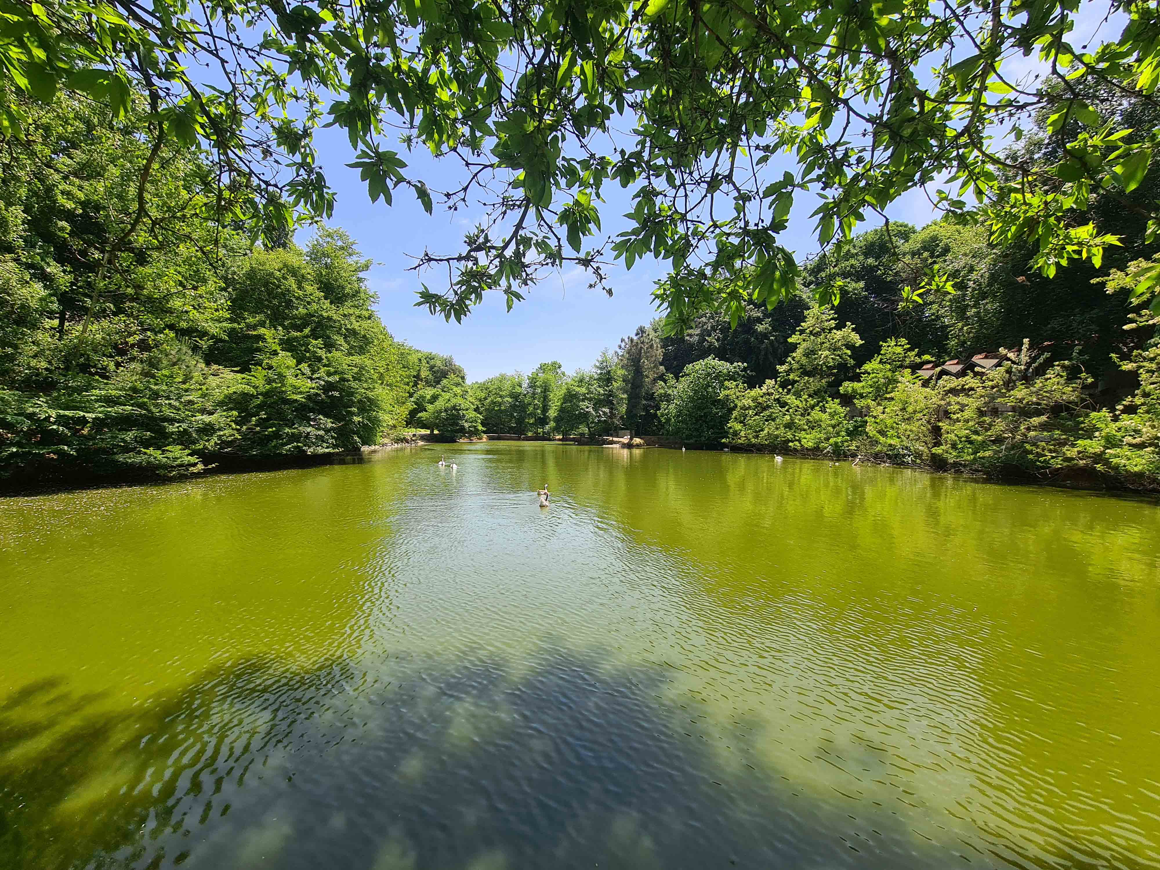 Polonezköy Country Club