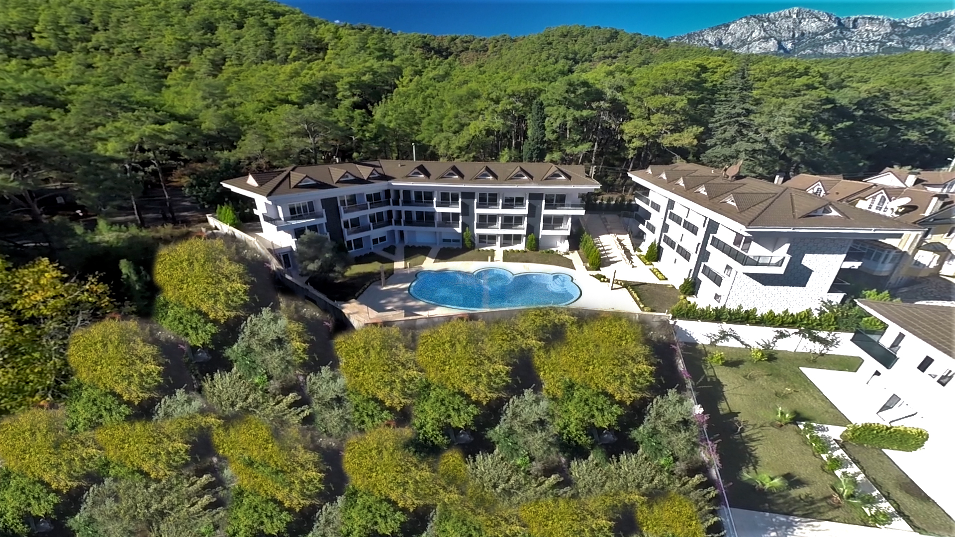 Truemar Hotels and Suites